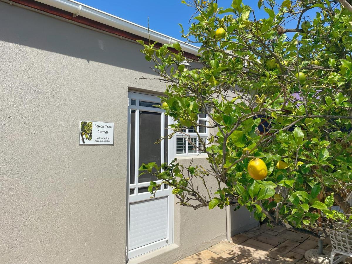 Lemon Tree Cottage Edgemead Exterior foto
